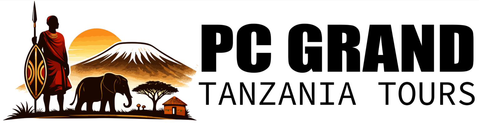 PC GRAND TZ HEADER LOGO-01-01